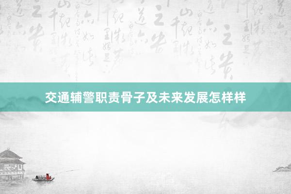 交通辅警职责骨子及未来发展怎样样